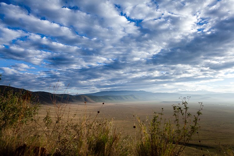 TZA ARU Ngorongoro 2016DEC26 Crater 009
